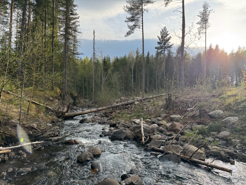 Zweden-water-kamperen-scandinavie